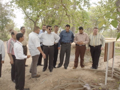 Delegates tour the infamous Cambodian Killing Fields during their trip. 