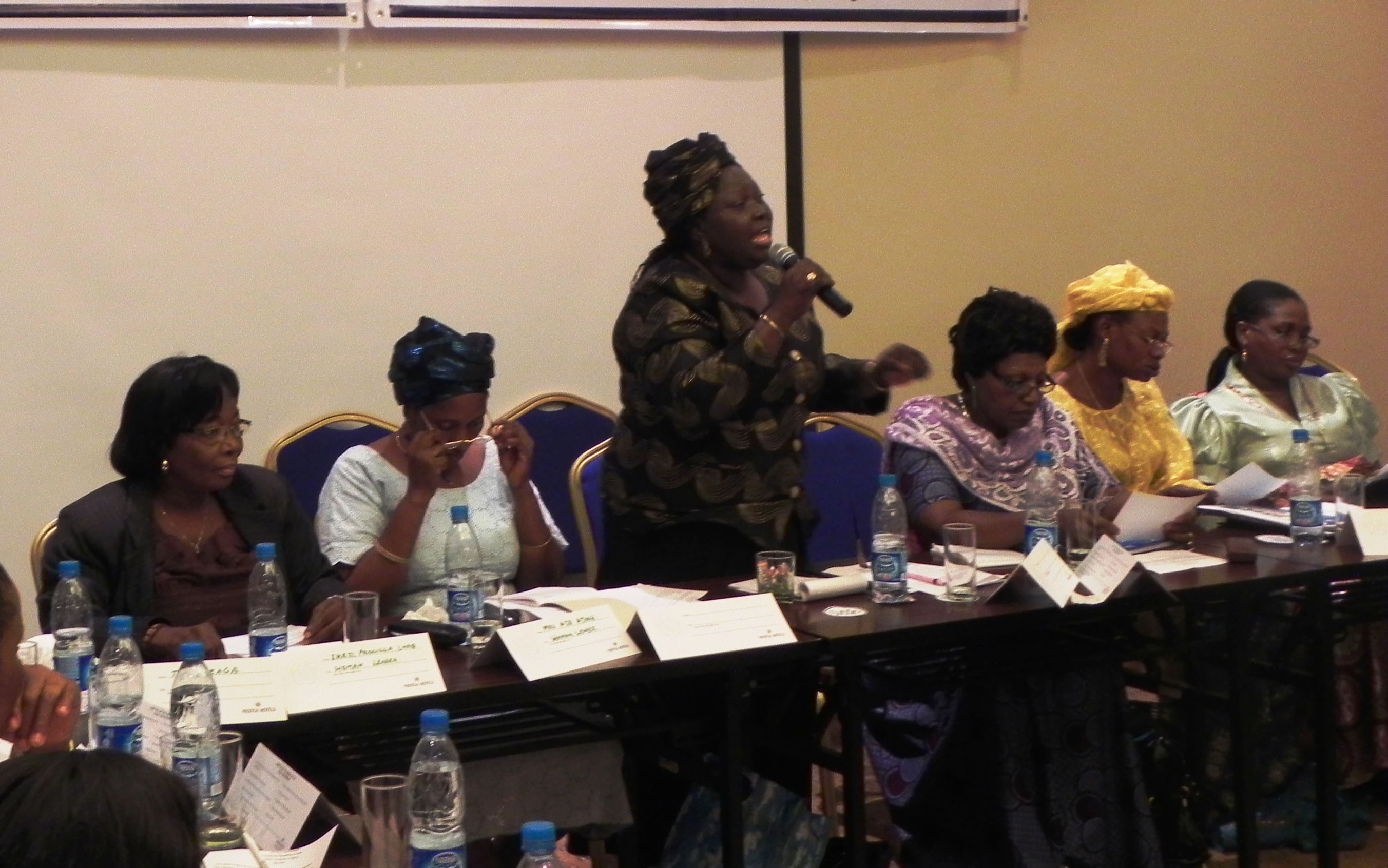 Bisi Olateru (center), of the Women’s Consortium of Nigeria and possible candidate for election in 2011, speaks to workshop participants.
