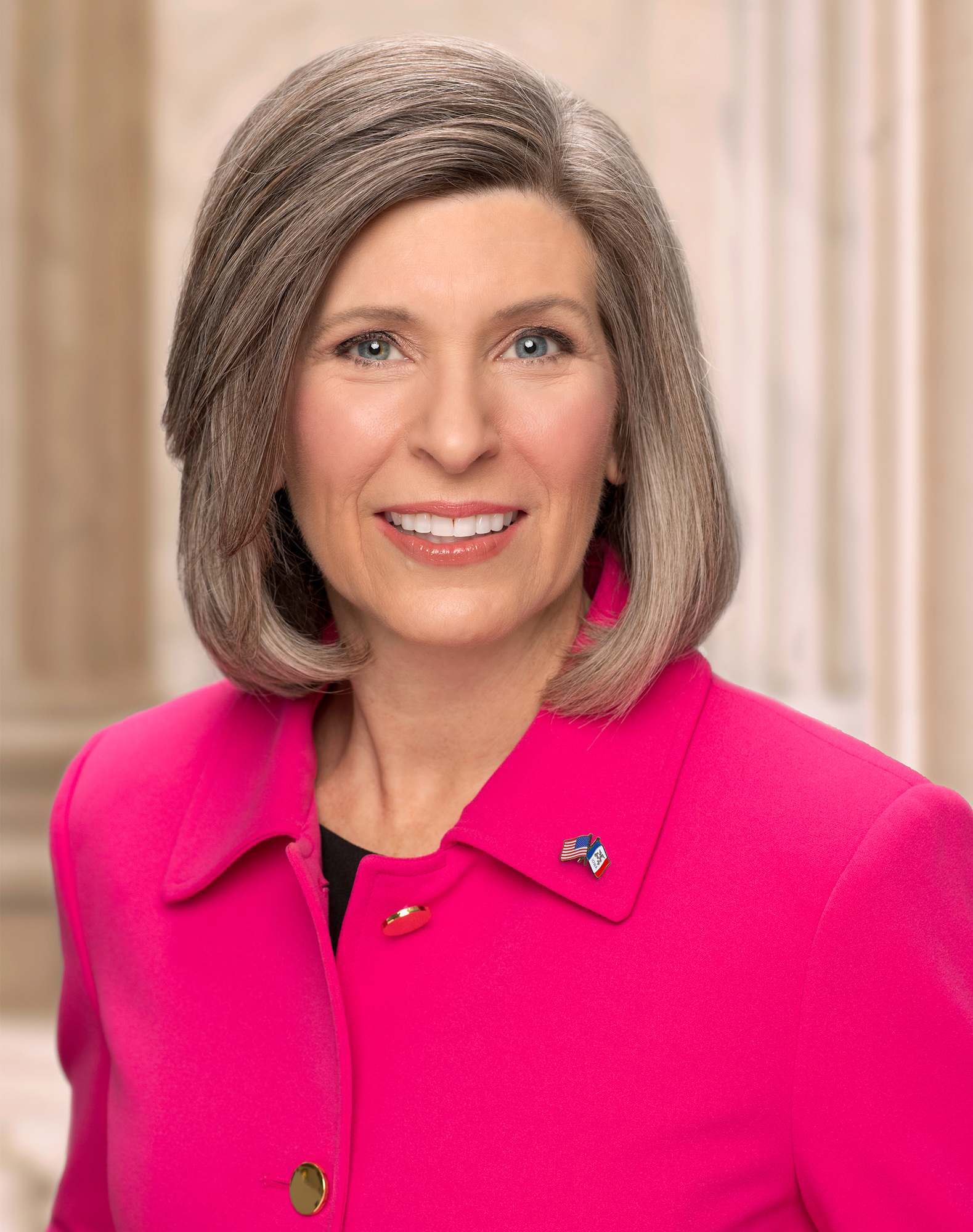 joni ernst committee assignments