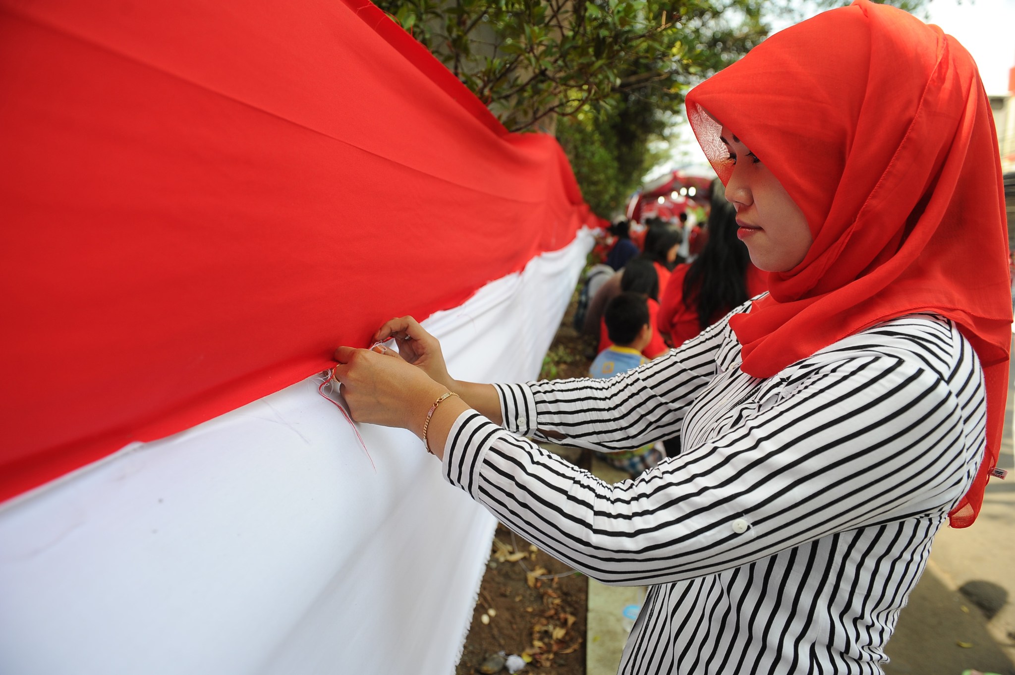 Indonesia Celebrate Flag