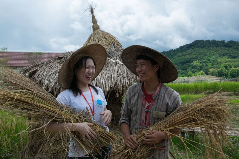 Two people in straw hats smiling at each other wile holding grain
