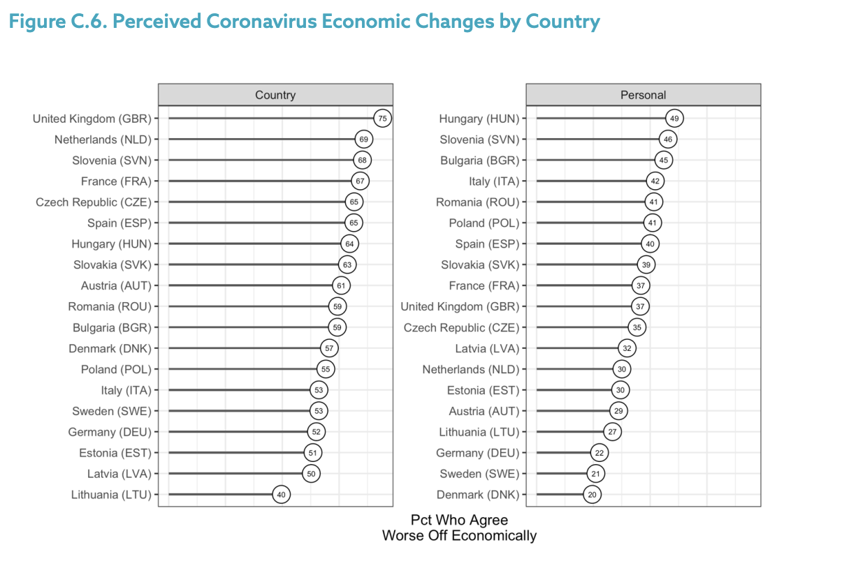 Figure C.6. Perceived Coronavirus Economic Changes by Country
