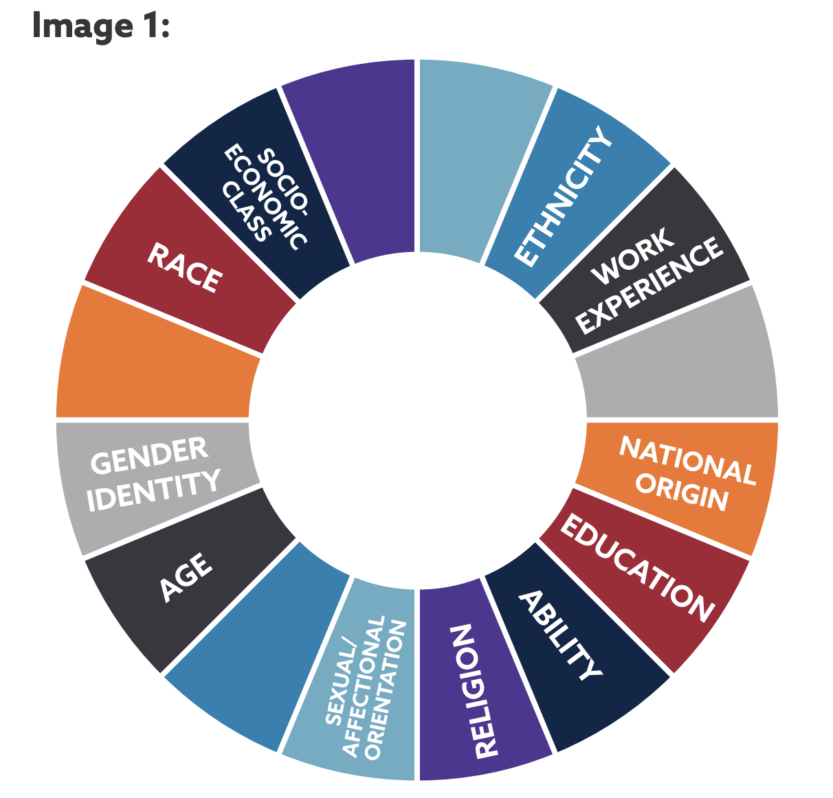 Wheel showing different types of identity categories: Ethnicity, work experience, national origin, education, ability, religion, sexual/affectional orientation, age, gender identity, race, socio-economic class.