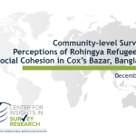 Community Level Survey Bangladesh Cover